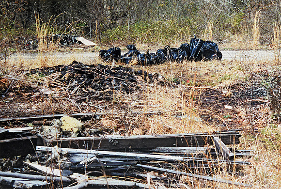 ijams trash-8