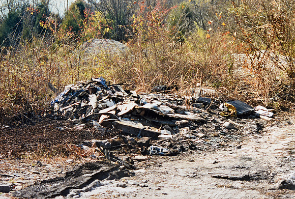 ijams trash-6