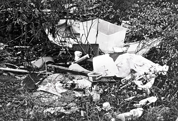 ijams trash-13
